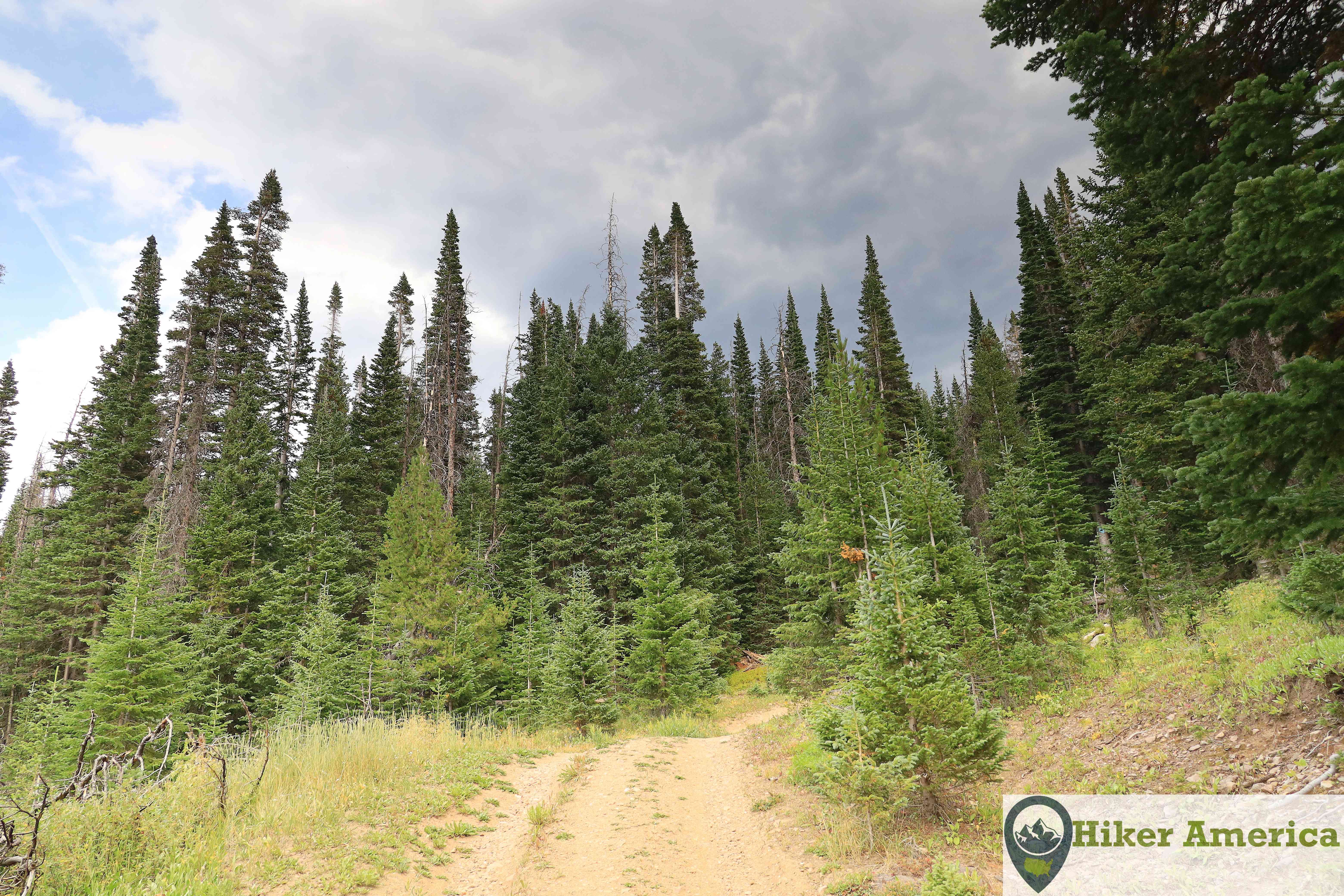 Just before the first switchback on the Zimmerman Lake Trail.